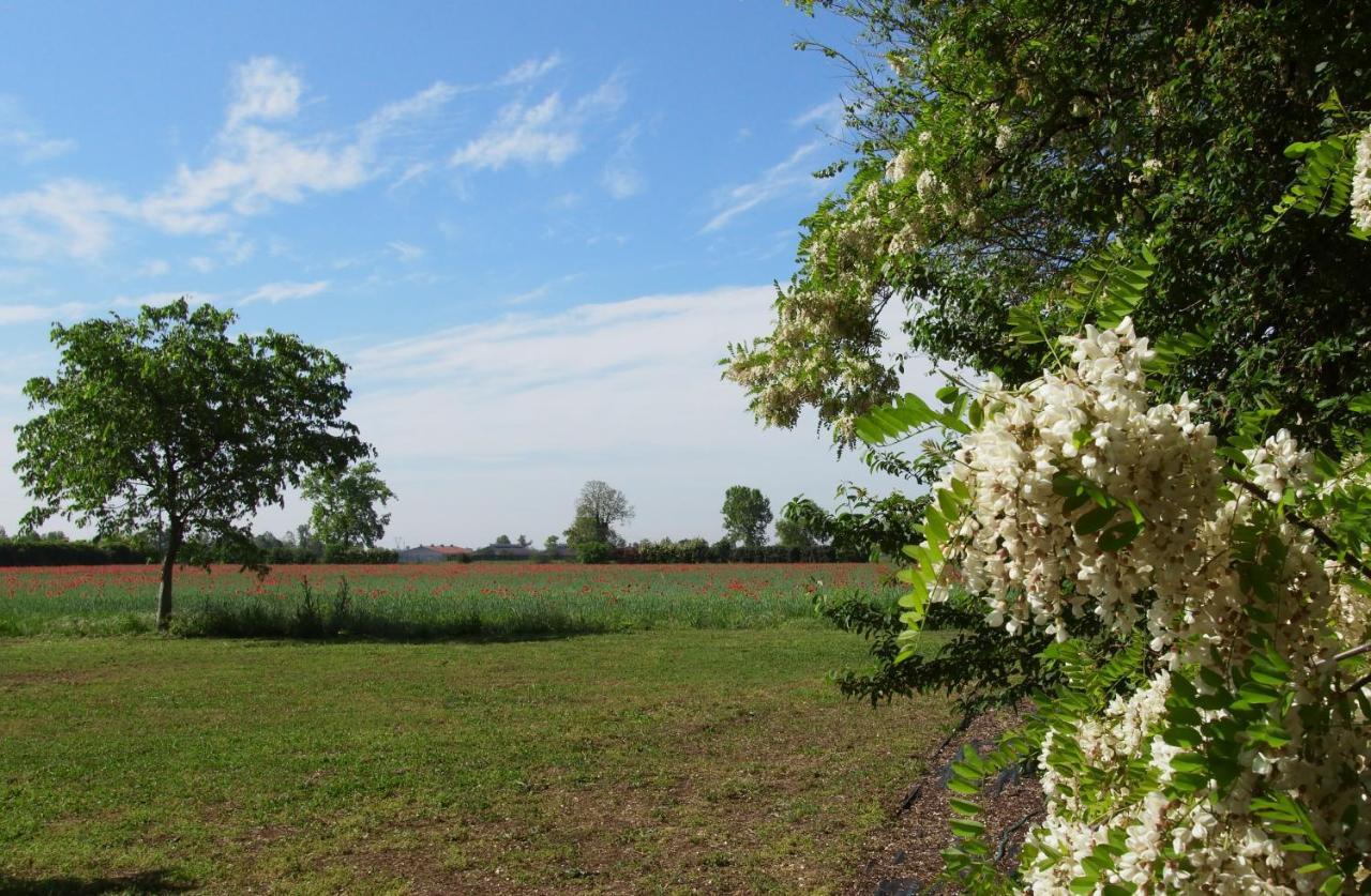 Agriturismo Fiorbello Montirone Bagian luar foto
